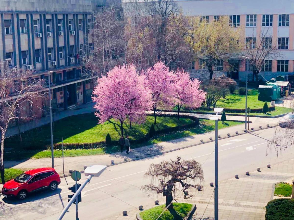 Bella Studios Kruševac Eksteriør bilde